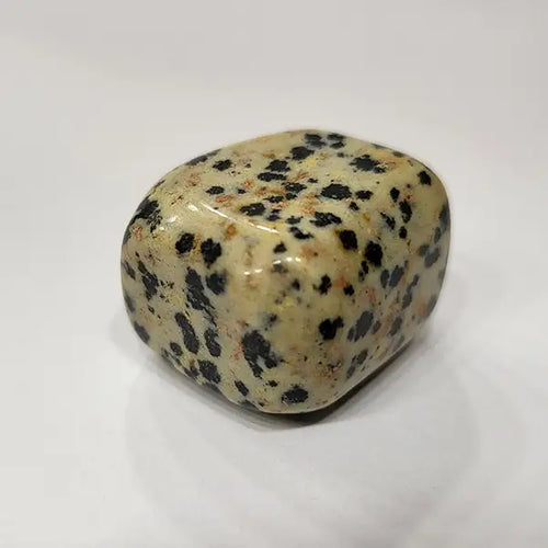 Leopard Skin Jasper Tumbles