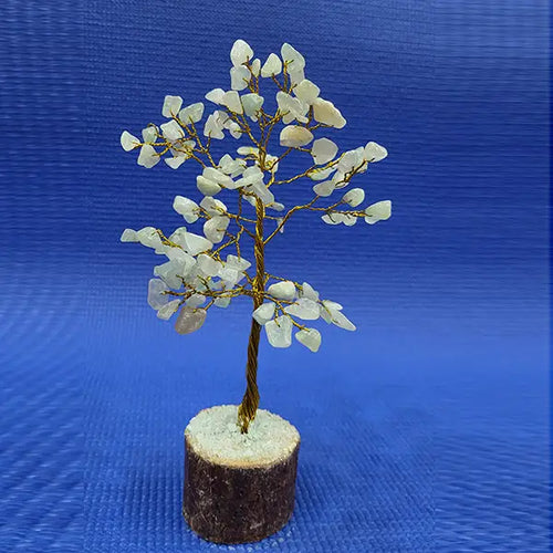 Jade Tree Wooden Base Small