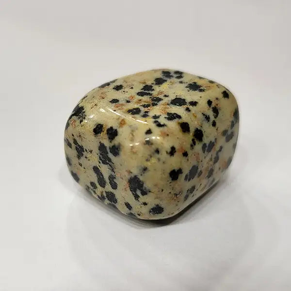 Leopard Skin Jasper Tumbles