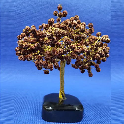 Rudraksha Tree Crystal Base
