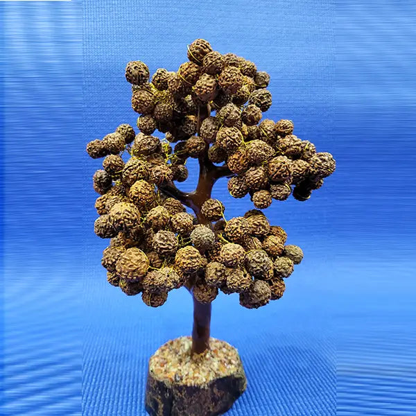 Rudraksha Tree Wooden Base