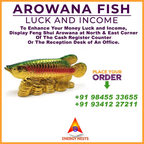 AROWANA FISH