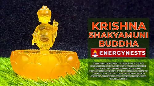 KRISHNA SHAKYAMUNI BUDDHA